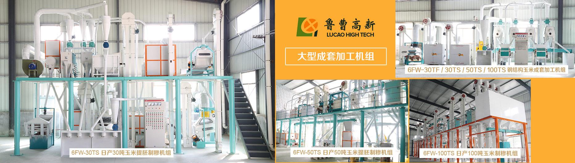 蘑菇视频官网版下载大全加工成套设备
